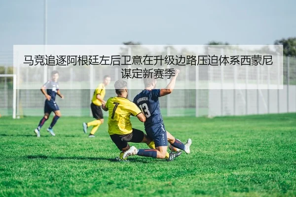 img_1784037709851_495_1_419.jpg
